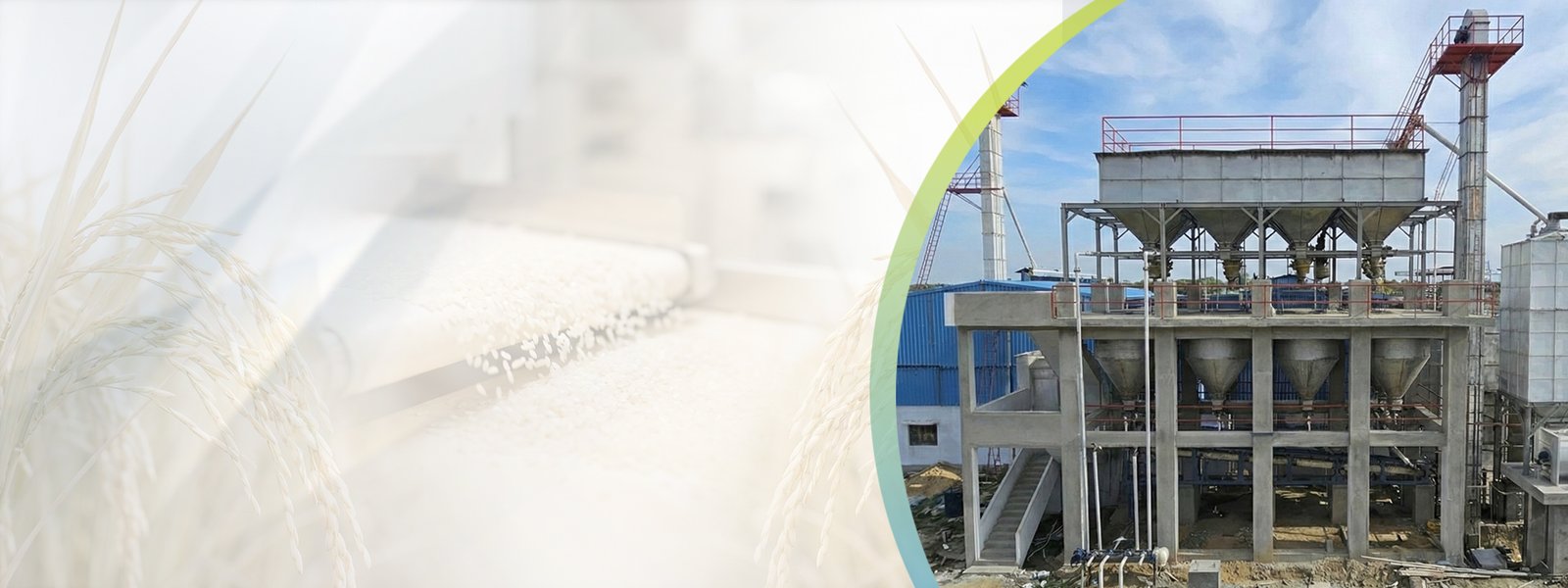 Orange Color Sorter Machine