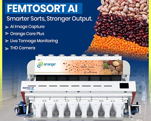Femtosort AI – Advanced Color Sorting Machine by Orange Sorter