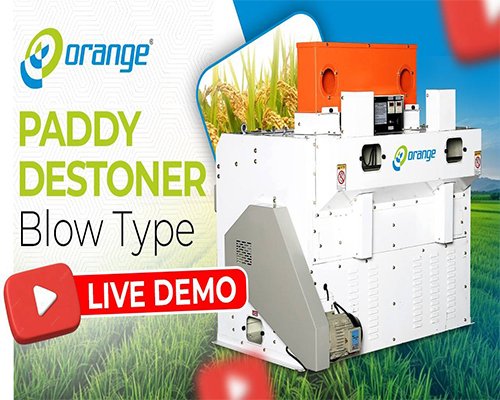 Femtosort AI – Advanced Color Sorting Machine by Orange Sorter