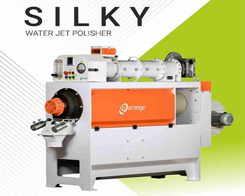 Femtosort AI – Advanced Color Sorting Machine by Orange Sorter