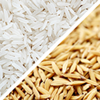 Plastic Sorting Machine