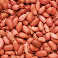 Plastic Sorting Machine