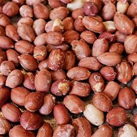 Plastic Sorting Machine